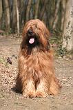 BRIARD 222